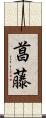 菖藤 Scroll