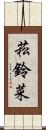 菘 Scroll