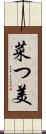 菜つ美 Scroll