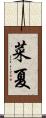 菜夏 Scroll