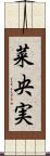 菜央実 Scroll