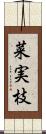 菜実枝 Scroll