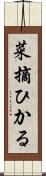 菜摘ひかる Scroll