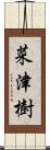 菜津樹 Scroll