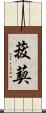 菝葜 Scroll