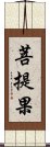 菩提果 Scroll