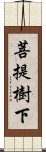 菩提樹下 Scroll