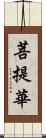 菩提華 Scroll