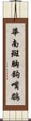 華南斑胸鉤嘴鶥 Scroll