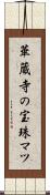 華蔵寺の宝珠マツ Scroll