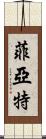 菲亞特 Scroll