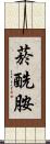 菸酰胺 Scroll