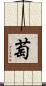 萄 Scroll