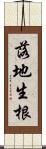 落地生根 Scroll
