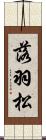 落羽松 Scroll