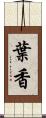 葉香 Scroll