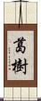 葛樹 Scroll