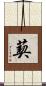葜 Scroll