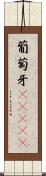 葡萄牙(ateji) Scroll