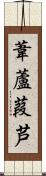 葦;蘆;葭;芦 Scroll