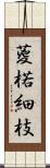 葼 Scroll