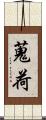 蒐荷 Scroll