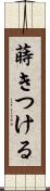 蒔きつける Scroll