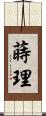 蒔理 Scroll
