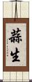 蒜生 Scroll