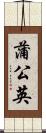 蒲公英 Scroll