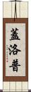 Gallup Scroll