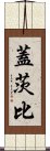 蓋茨比 Scroll