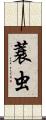 蓑虫 Scroll