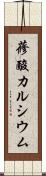 蓚酸カルシウム Scroll