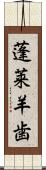 蓬莱羊歯 Scroll