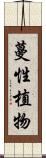 蔓性植物 Scroll
