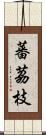 蕃茘枝 Scroll