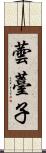 蕓薹子 Scroll