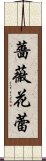 薔薇花蕾 Scroll