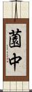 薗中 Scroll