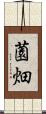 薗畑 Scroll
