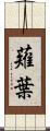 薙葉 Scroll
