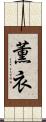 薫衣 Scroll