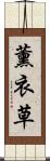 薰衣草 Scroll