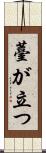 薹が立つ Scroll