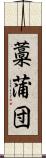 藁蒲団 Scroll