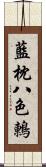 藍枕八色鶇 Scroll