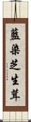 藍染芝生茸 Scroll