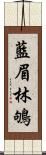 藍眉林鴝 Scroll