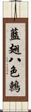 藍翅八色鶇 Scroll